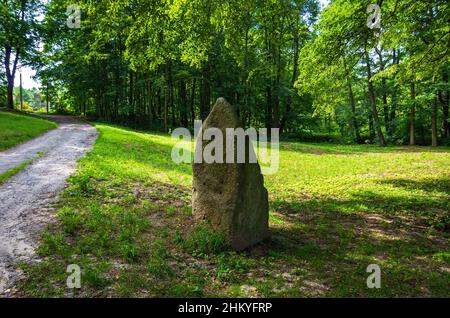 Die unberührte Naturlandschaft des Tiefentals entlang der Pulsnitz zwischen Reichenau und Königsbrück in Sachsen, Deutschland, Europa. Stockfoto