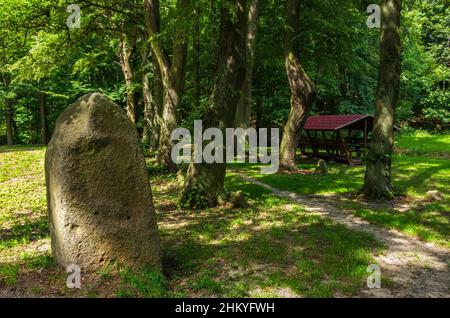 Die unberührte Naturlandschaft des Tiefentals entlang der Pulsnitz zwischen Reichenau und Königsbrück in Sachsen, Deutschland, Europa. Stockfoto