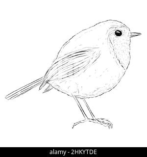 Robin Bird Line Art Logo, das Bleistift auf weißem Hintergrund gezeichnet ist Stockfoto