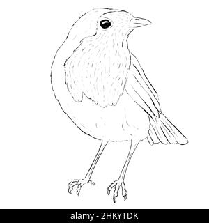 Robin Bird Line Art Logo, das Bleistift auf weißem Hintergrund gezeichnet ist Stockfoto