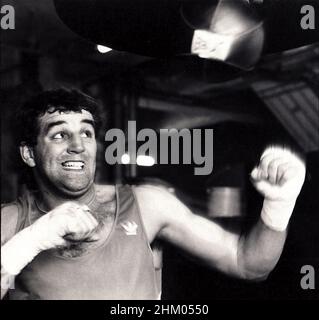 Ein Foto von 1981, auf dem der Schwerboxer Gerry Cooney an einem Speedbag arbeitet. In einem Fitnessstudio auf Long Island, New York. Stockfoto