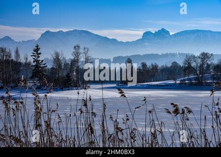 Eisbedeckter Teich im Allgäu, im Hintergrund der Aggenstein (1986 m) und der Breitenberg (1838 m), Bayerisches Schwaben, Bayern, Deutschland, Europa Stockfoto