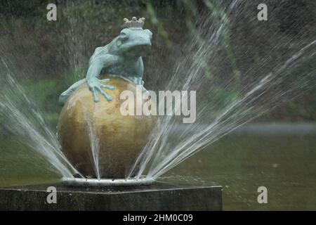 Froschfürst im Teich der Orangerie im Kurpark, Bad Homburg, Hessen, Deutschland Stockfoto