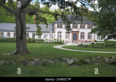 Moor Badehaus im Kurpark mit kanadischem Hemlock (Tsuga canadensis) in Bad Schwalbach, Hessen, Deutschland Stockfoto