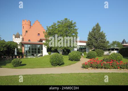 Crass Castle and Electoral Castle in Eltville, Rheingau, Hessen, Deutschland Stockfoto