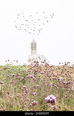 Vogelschwärme fliegen über der schönen weißen Kirche in der Ferne von Grasland mit rosa und lila Blüten, Purpletop Vervains (Verbena bonariensis) Stockfoto
