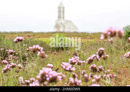 Romantische Weiße Kirche im Hintergrund, hübsche violett-rosa Blüten, Purptop Vervains (Verbena bonariensis) im Vordergrund unscharf Stockfoto