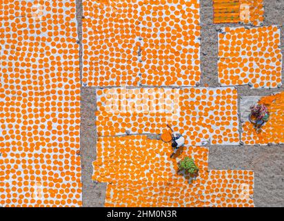 Dorfbewohner machen Papar/Papad/Papadam und lassen sie im Sonnenlicht trocknen. Papad ist ein asiatischer Imbiss. Stockfoto