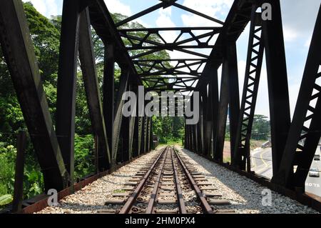 Teil des Bahnkorridors in Singapur - eine 24 km lange durchgehende grüne Passage, die Tierbewegungen zwischen wichtigen Grünflächen ermöglicht Stockfoto