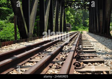 Teil des Bahnkorridors in Singapur - eine 24 km lange durchgehende grüne Passage, die Tierbewegungen zwischen wichtigen Grünflächen ermöglicht Stockfoto