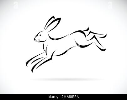 Vektor des Kaninchenlaufdesigns auf weißem Hintergrund. Leicht editierbare Vektorgrafik mit Ebenen. Wilde Tiere. Stock Vektor