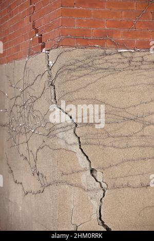 Fundament mit großem Crack, der sich in die Ziegelwand darüber erstreckt Stockfoto