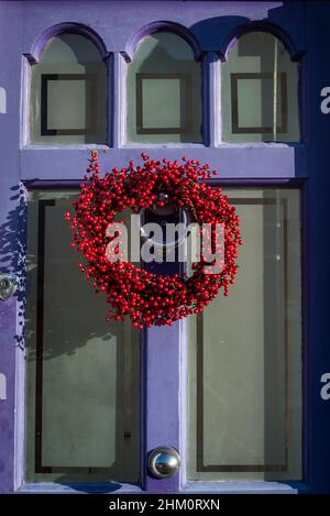 Weihnachtlicher Türkranz aus roten Beeren an der purpurnen Haustüre, London, Großbritannien Stockfoto