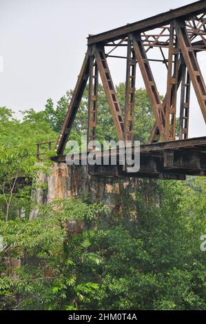 Teil des Bahnkorridors in Singapur - eine 24 km lange durchgehende grüne Passage, die Tierbewegungen zwischen wichtigen Grünflächen ermöglicht Stockfoto