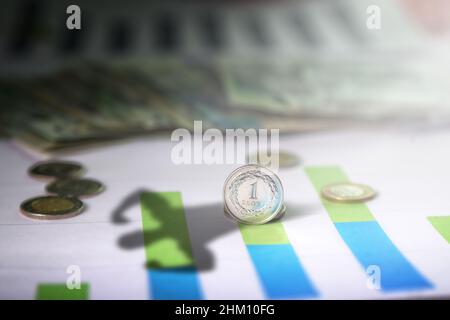 Starke polnische Währung - polnischer Zloty mit einem muskulösen Schatten Stockfoto