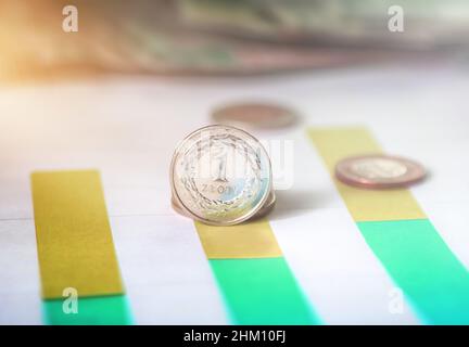 Polnisches Geld - Analyse und Charts Stockfoto
