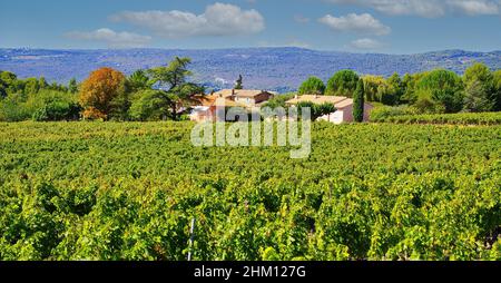 Blick auf das Tal mit Weinreben nach der Ernte und typisches französisches Bauernhaus des Weinguts in der Herbstsonne - Gordes, Provence, Frankreich Stockfoto