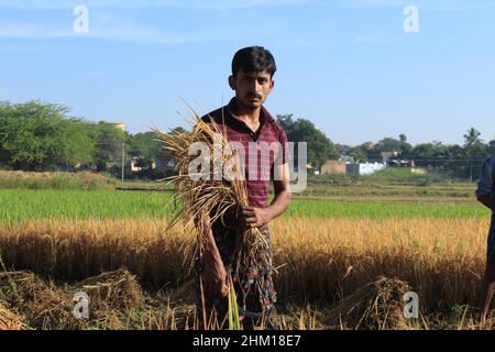 Porträt eines Bauern während eines harten Arbeitstages in einem ländlichen Dorf. Javadhu Hills, Tamil Nadu. Indien. Stockfoto