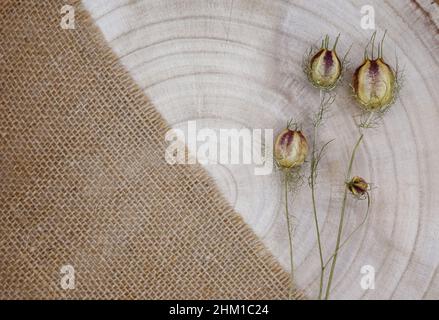 Zusammensetzung aus natürlichen Materialien. Sackleinen und Holz, getrocknete Blüten. Jahresringe auf Holzstruktur. Draufsicht, Kopierraum, Öko-Konzept. Stockfoto
