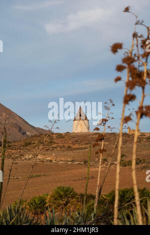 Alte spanische Windmühle am genovesischen Strand im Naturpark Cabo de Gata, San Jose, Almeria, Andalusien, Spanien. Stockfoto