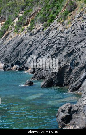 Procida Island, Vivara Naturschutzgebiet Stockfoto