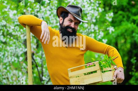 Landwirt im Garten mit Gartengeräten. Glücklicher Mann mit Schaufel und Holzkiste. Gärtner Pflanzen Pflanzen. Stockfoto