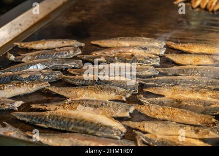 Gekochter Makrelenfisch. Makrelenfisch, zubereitet für Fischbrot, Sandwiches. Leckeres und gesundes Essen. Stockfoto