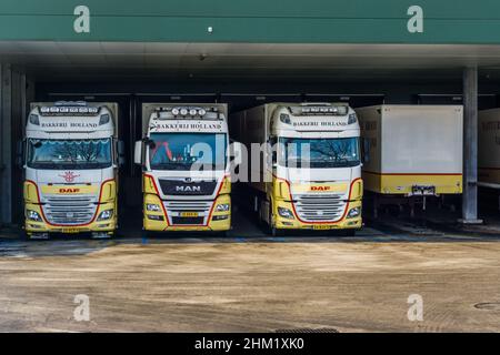 DAF- und MAN-Lastwagen aus Bakkerij Holland parkten an den Docks eines Verteilzentrums, Roosendaal, Niederlande, 23. januar 2019 Stockfoto