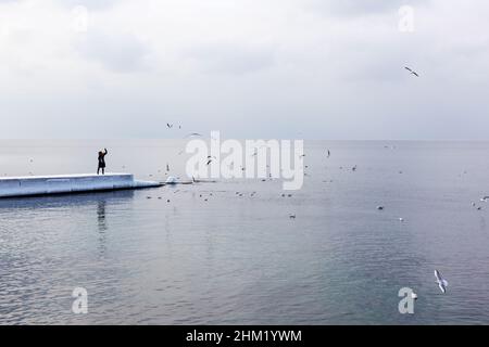 Hungrige Möwen kreisen über dem Winterstrand auf der Suche nach Nahrung auf dem Hintergrund des Meeres und des blauen Himmels. Seevögel im Flug auf der Suche nach Nahrung. Stockfoto