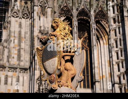 Skulptur Eines Löwen mit goldener Mähne vor dem berühmten Ulmer Münster in Ulm Deutschland an Einem schönen sonnigen Sommertag Stockfoto