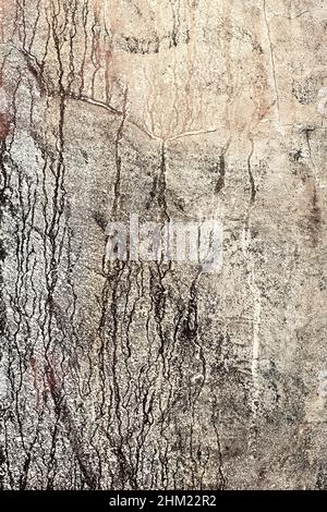 Hintergrund Betonwand, Spuren von Verwitterung, abgenutzte Wand beschädigt Farbe alte Farbe. Reste von alter Farbe auf der lackierten Betonoberfläche. Grungy concre Stockfoto