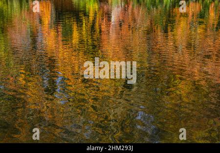 Abstrakter Hintergrund, herbstliche Farben, Bäume spiegeln sich im noch ruhigen Wasser des Sees wider Stockfoto