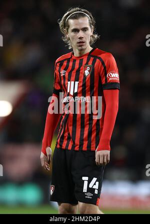 Bournemouth, England, 6th. Februar 2022. Todd Cantwell aus Bournemouth während des Emirates FA Cup-Spiels im Vitality Stadium in Bournemouth. Bildnachweis sollte lauten: Paul Terry / Sportimage Kredit: Sportimage/Alamy Live News Stockfoto