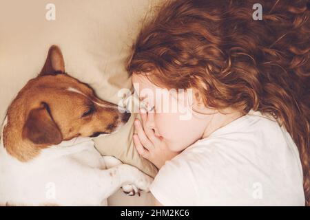 Süßes lockiges Mädchen und Jack russell Hund schläft in der Nacht. Stockfoto