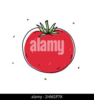 Rote Tomate isoliert auf weißem Hintergrund. Gesunde Bio-Lebensmittel. Vektor-handgezeichnete Illustration im Doodle-Stil. Perfekt für Karten, Logo, Dekorationen, Rezepte, verschiedene Designs. Stock Vektor