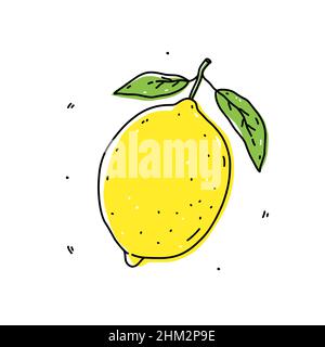Gelbe Zitrone isoliert auf weißem Hintergrund. Frische Zitrusfrüchte. Vektor-handgezeichnete Illustration im Doodle-Stil. Perfekt für Karten, Logo, Dekorationen, Rezepte, verschiedene Designs. Stock Vektor