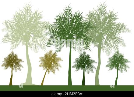 Silhouette von vielen verschiedenen Schattierungen von grünen Kokospalmen Stock Vektor