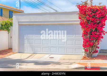 Garage mit Bougainvillea-Baum an der Vorderseite in La Jolla, San Diego, Kalifornien Stockfoto