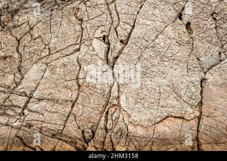 Trockene, graue rissige Oberfläche des Steingrundes Stockfoto