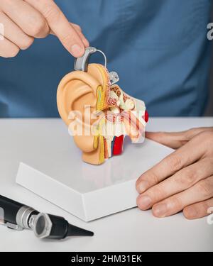 Arztaudiologe mit Hörgerät am anatomischen Modell des Ohres. Die Behandlung der Hörbehinderung mit Hilfe von Hörgeräten Stockfoto