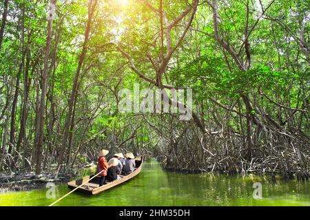 Menschen, die im Mangrovenwald, Asien, Boot fahren. Eine Touristenattraktion - Bootsfahrt durch die Mangrovenkanäle Stockfoto