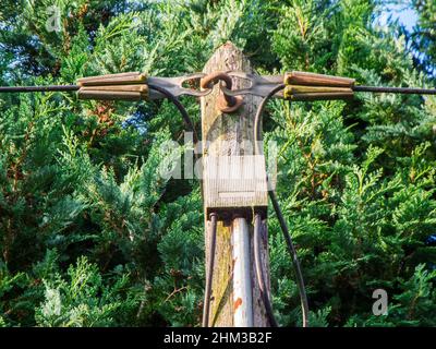 Teilweise Draufsicht auf einen Telegrafenmast mit Verteilerkasten zwischen den ein- und ausgehenden Telefonleitungen vor grünen Bäumen. Stockfoto