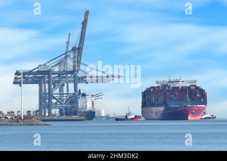 Schlepper, die große Containerschiffe und volle Ladung von Schiffscontainern bewegen, um unter riesigen hohen Kränen am London Gateway Thames Mündungshafen Essex UK zu gebären Stockfoto