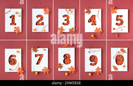 Zahlen eins bis zehn und null Umrisse auf weißem und rotem Papier. Zusammengesetztes Bild. Rote Herbst Ahornblätter und Beeren. Flache Lay-Design-Elemente Stockfoto