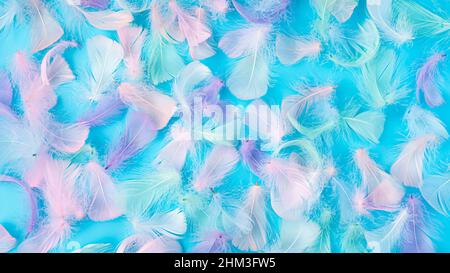 Pastellfarbene Federn auf blauem Hintergrund. Draufsicht. Stockfoto