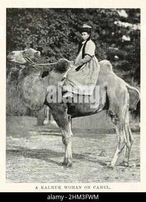 Eine Kalmuk-Frau auf dem Kamel die Kalmücken (Kalmücken oder Calmucks) sind eine mongolische Untergruppe in Russland und Kirgisistan, deren Vorfahren aus Dzungaria auswanderten. Sie schufen das Khanat Kalmyk von 1630 bis 1771 im russischen Nordkaukasus. Heute bilden sie eine Mehrheit in Kalmykia, in der Kalmyk Steppe, am westlichen Ufer des Kaspischen Meeres. Aus dem Buch "die lebenden Rassen der Menschheit" Vol 1 von Henry Neville Hutchinson, Herausgeber John Walter Gregory, und Richard Lydekker, Verlag: London, Hutchinson & CO 1901 Stockfoto