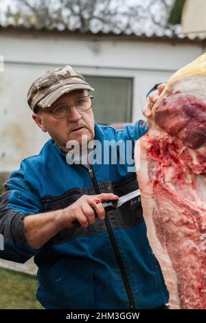 Traditionelle Schlachtung von Schweinen im ländlichen Ungarn Stockfoto