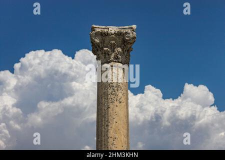 Selcuk, Izmir, Türkei - 2012. August 12: Ephesus-Kolonnen-Hauptstädte (UNESCO-Welterbeliste, 2015) Stockfoto