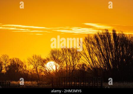 Teleansicht des Sonnenaufgangs in einen orangefarbenen Himmel hinter einer Reihe von blattlosen Bäumen im Winter. Im Vordergrund einige Sumpfgräser, die vom Sonnenlicht und einer Holzbrücke beleuchtet werden. Stockfoto