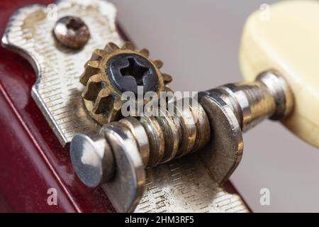 Alte Stimmwirbel einer klassischen Gitarre. Makrofotografie. Stockfoto